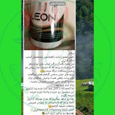 استپ شکن لئون با ارسال رایگان